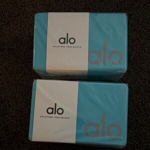 Alo Uplifting Yoga Block Set in Blue